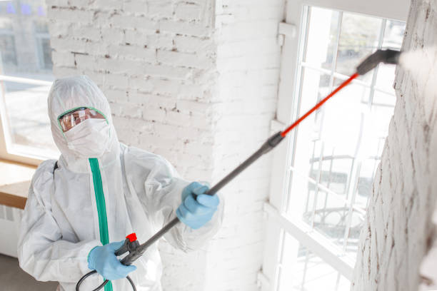 Best Mold-Related Health Consultation  in College Park, GA