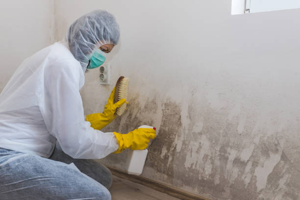 Best Real Estate Mold Inspection  in College Park, GA