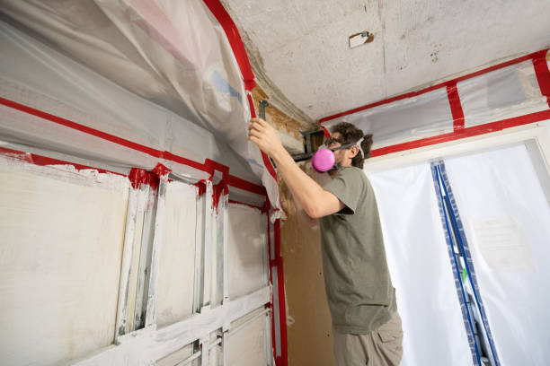 Best Crawl Space Mold Remediation  in College Park, GA