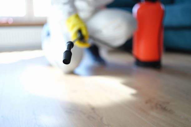 College Park, GA Mold Removal Company