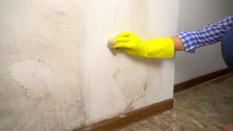 Best Airborne Mold Testing  in College Park, GA
