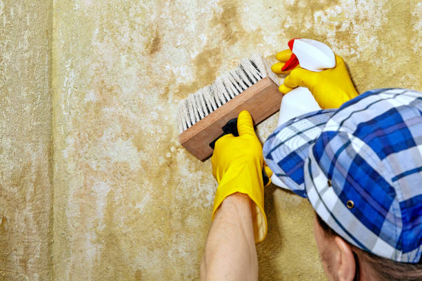 Best Residential Mold Inspection & Testing  in College Park, GA