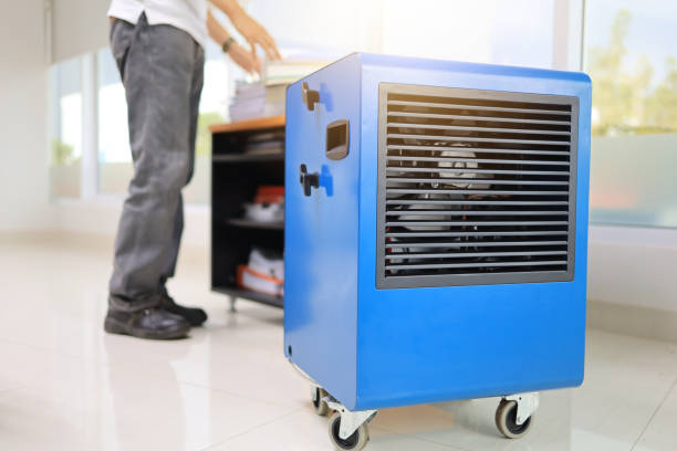 Best HVAC Mold Inspection and Cleaning  in College Park, GA
