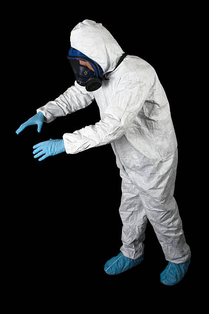 Best Mold Damage Restoration  in College Park, GA