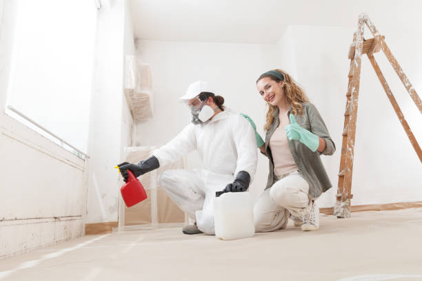 Best Mold Removal for HVAC Installations  in College Park, GA